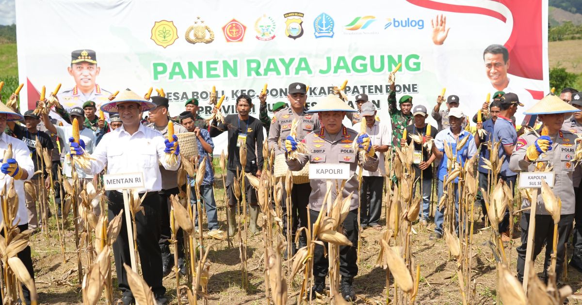 Kementan Siapkan Rp5 Triliun untuk Beli Satu Juta Ton Jagung Petani