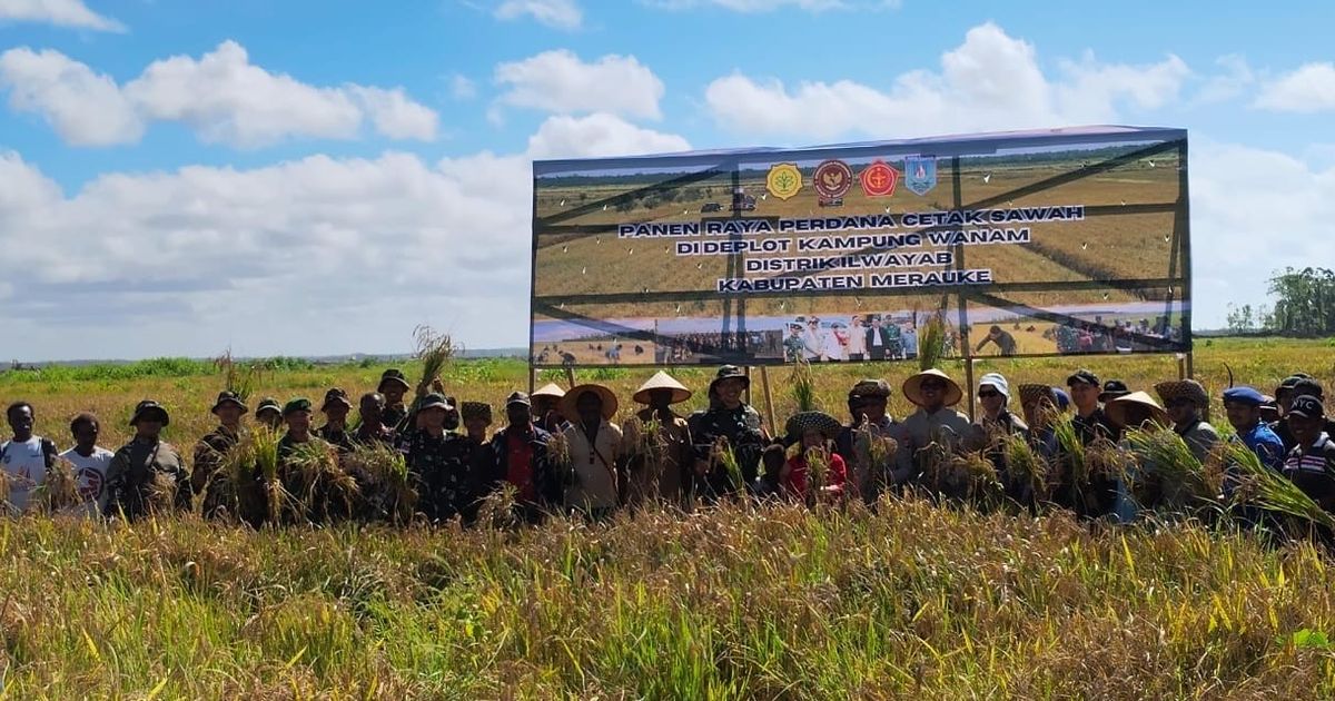 Panen Padi Perdana! Wanam Berpotensi Jadi Lumbung Pangan Baru di Papua