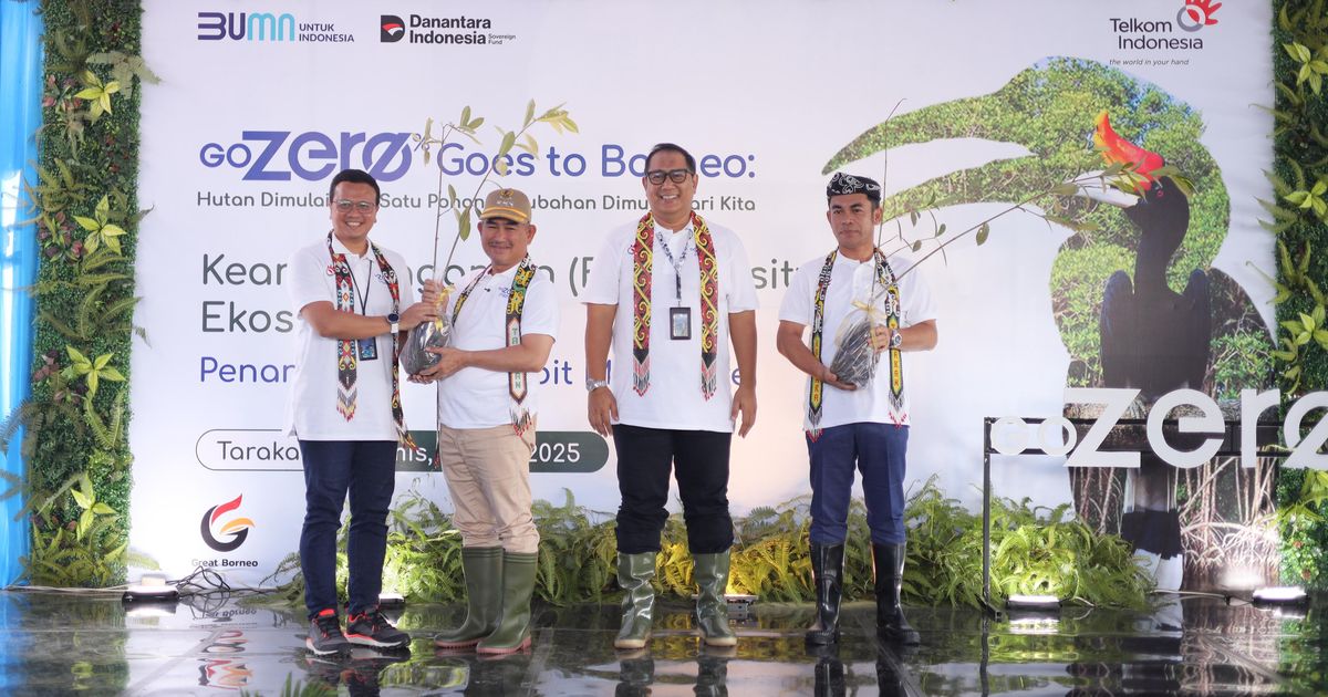 GoZero% Goes to Borneo, Telkom Lestarikan Alam Lewat Aksi  Penanaman Ribuan Mangrove di Tarakan