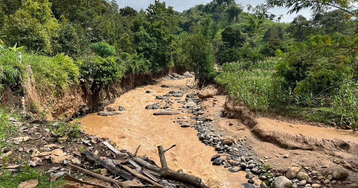 Banjir Bandang Terjang Mojo Kediri, Seorang Lansia dan 11 Kambing Hanyut Terseret Arus Sungai