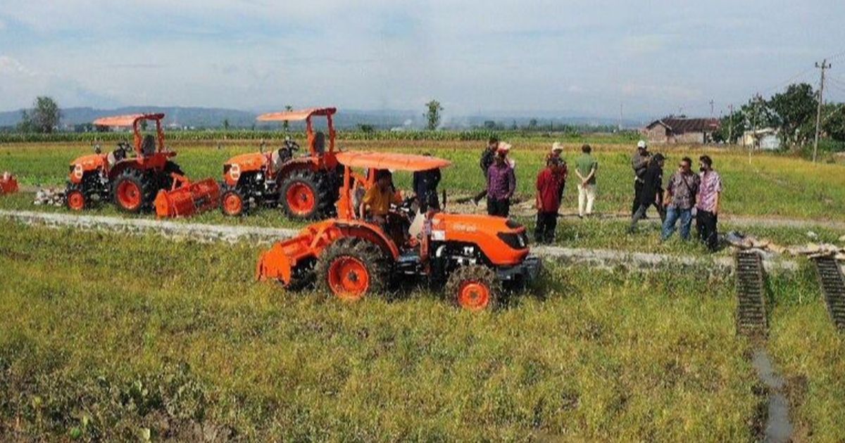Tanda-Tanda Indonesia Semakin Dekat Swasembada Pangan