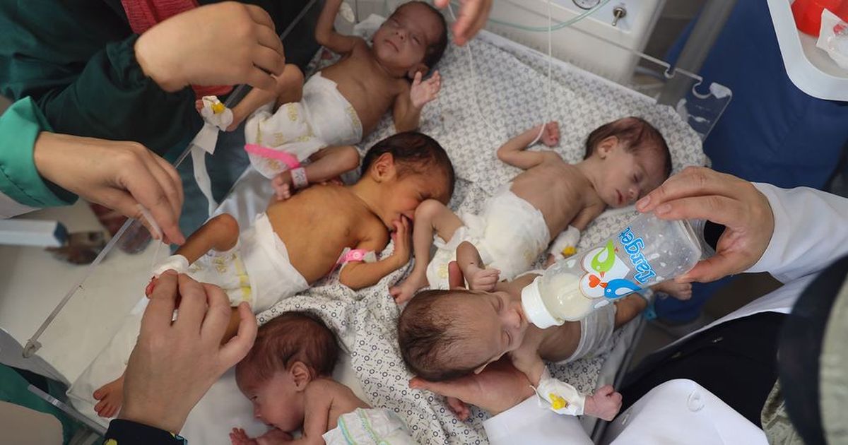 29 Anak-Anak dan Lansia Palestina di Gaza Meninggal Karena Kelaparan