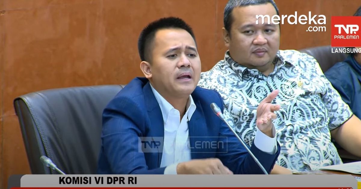 VIDEO: PDIP Blak-blakan Koperasi Prabowo Disorot Megawati, Budi Arie Bikin Emosi: Kalau Gagal Hancur Semua