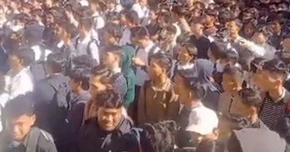 Job Fair Bekasi Membludak: Pencari Kerja Saling Dorong, Pukul hingga Pingsan