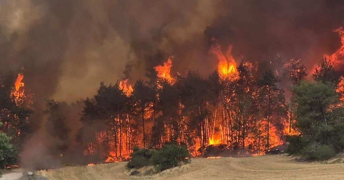Dua Negara Eropa Ini Tolak Bantu Israel Padamkan Kebakaran Hutan, Ternyata Ini Alasannya