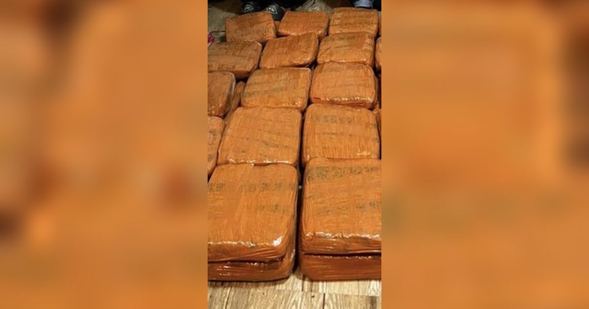 Penyelundupan 40 Kg Ganja Asal Padang Digagalkan, Polda Lampung Tangkap Kurir