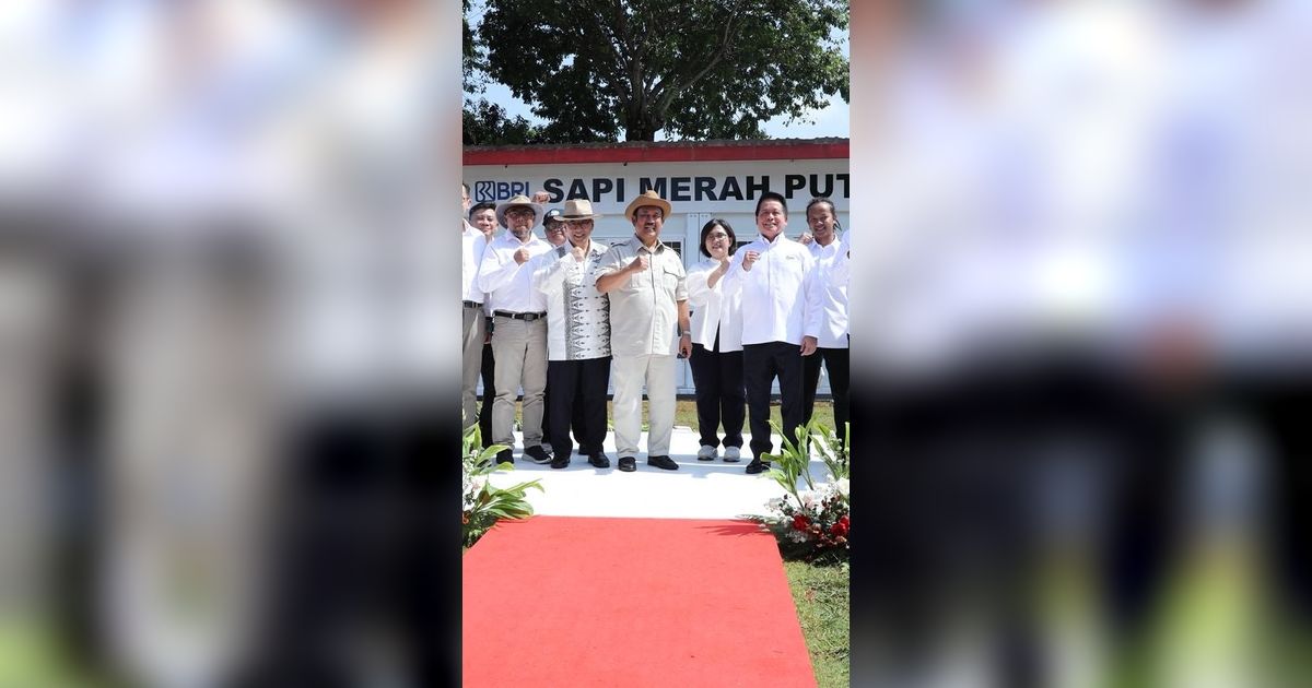 Dorong Swasembada Pangan Nasional, BRI Dukung Program Sapi Merah Putih