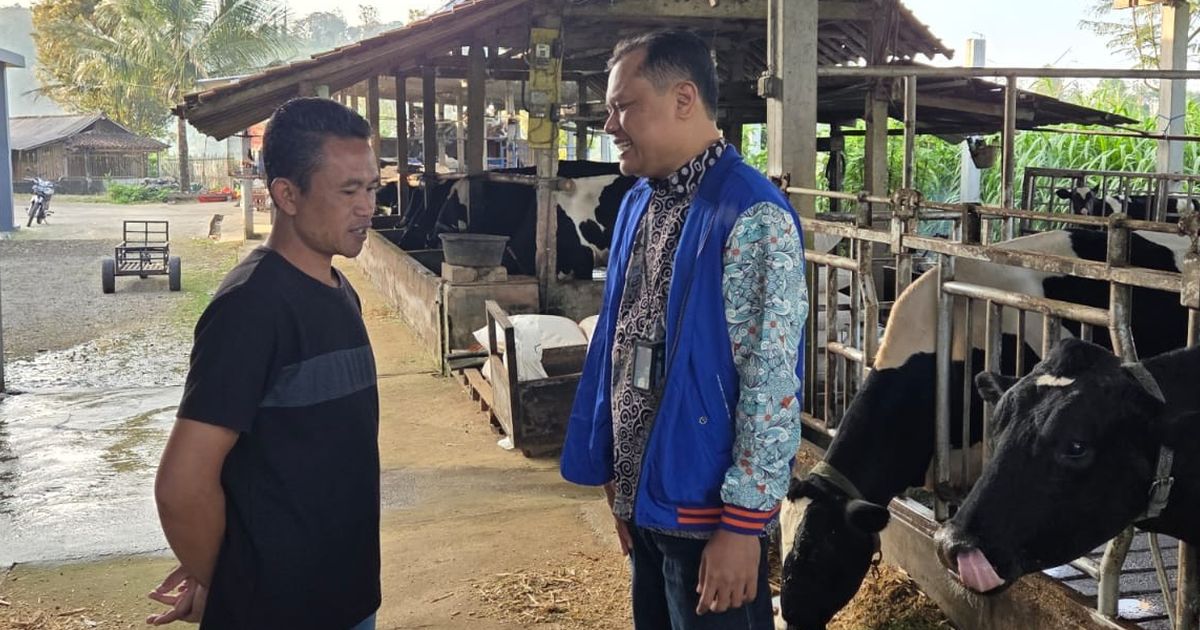 BRI Salurkan Rp99,31 Triliun KUR, Dorong Pertanian, Ketahanan Pangan & UMKM Naik Kelas