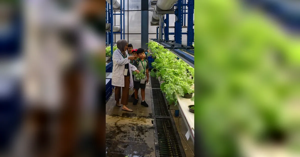 FOTO: Belajar Hidroponik di Kebun Vertikal Tertinggi di Indonesia