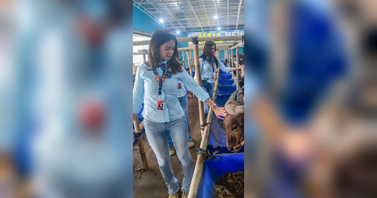 FOTO: SPG Ala Pramugari Curi Perhatian di Lapak Hewan Kurban Depok