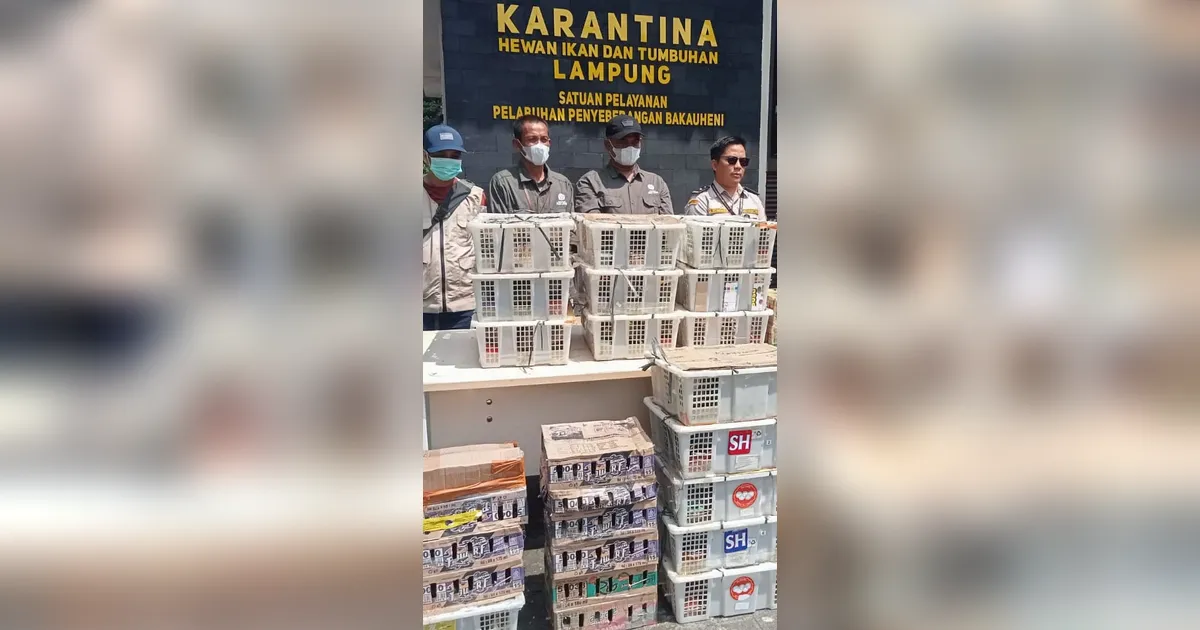 FOTO: TNI AL Gagalkan Penyelundupan Ratusan Burung Ilegal di Bakauheni