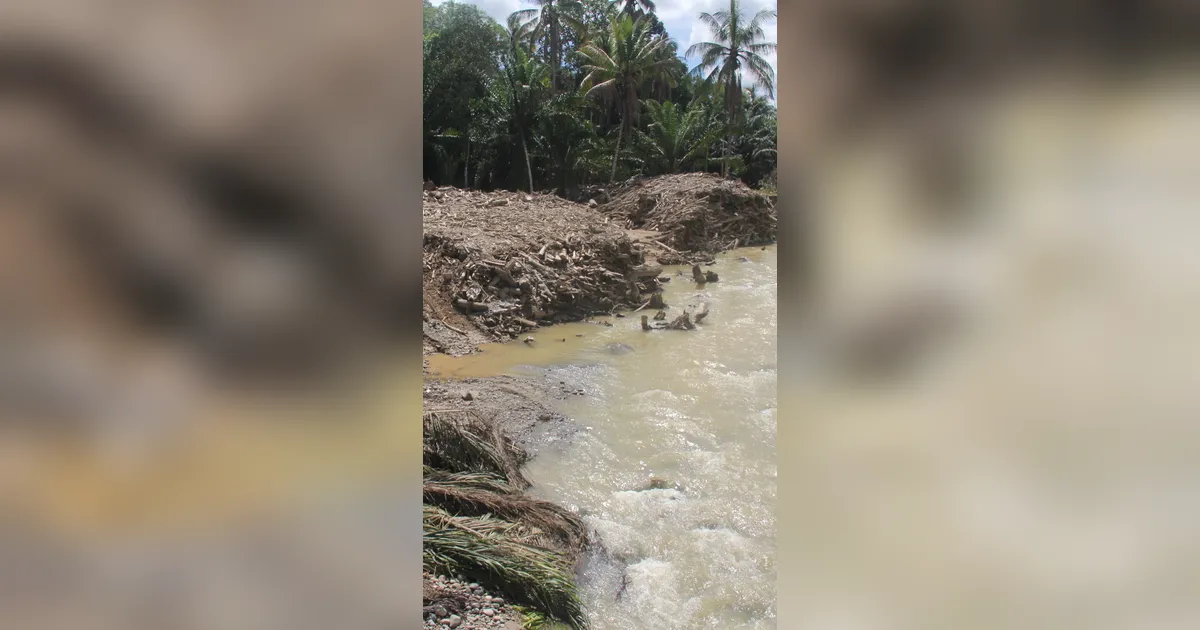 Ketika Hutan Tak Lagi Menahan Air: Menilik Jejak Deforestasi