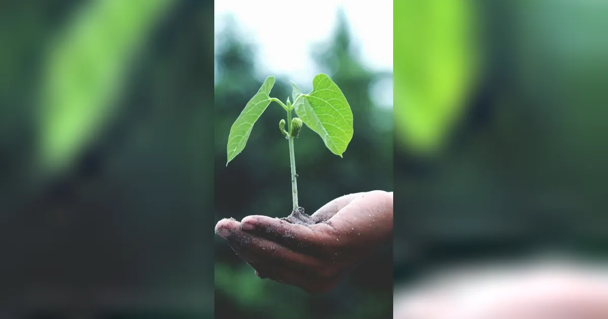 Hari Lingkungan Hidup 2026, Pemerintah Dorong Gera