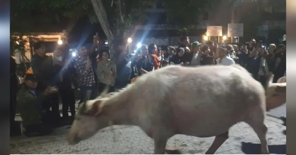{{caption}}