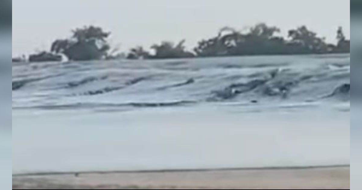 Potret Penampakan Semburan Lumpur di Grobogan, Muncul Usai Gempa Tuban
