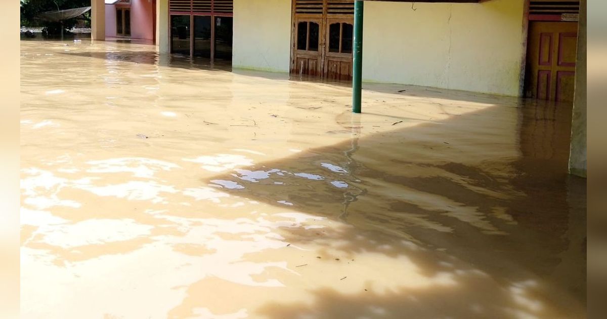 Fenomena Bulan Purnama, Waspada Banjir Rob di Sebagian Sumbar pada 28-29 Maret