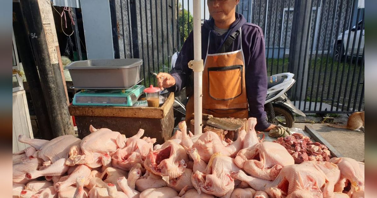 Harga Ayam Naik Jelang Lebaran, Kemendag Salahkan Pedagang Perantara karena Ambil Untung Terlalu Besar