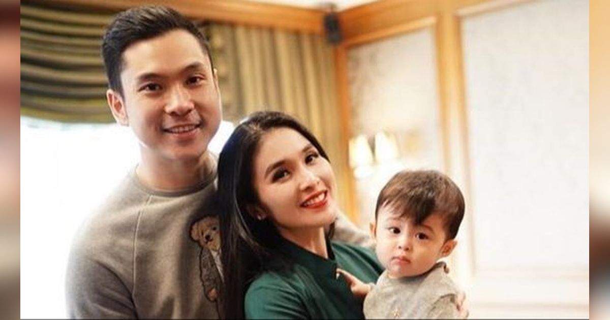 Selain Mobil Ferrari, Potret Mewah Pesawat Jet Pribadi Harvey Moeis Suami Sandra Dewi Hadiah Untuk Sang Putra