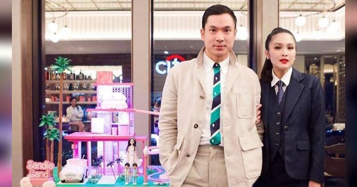 Tak Pernah Dipamerkan, Inilah Potret Jet Pribadi Harvey Moeis, Hadiah Untuk Anak Pertama