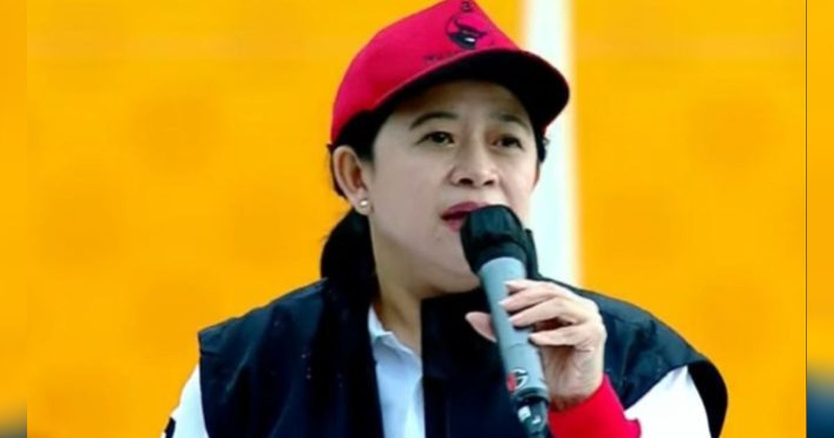 Megawati Belum Instruksikan Penggunaan Hak Angket Pemilu 2024, Puan Maharani Ungkap Alasannya