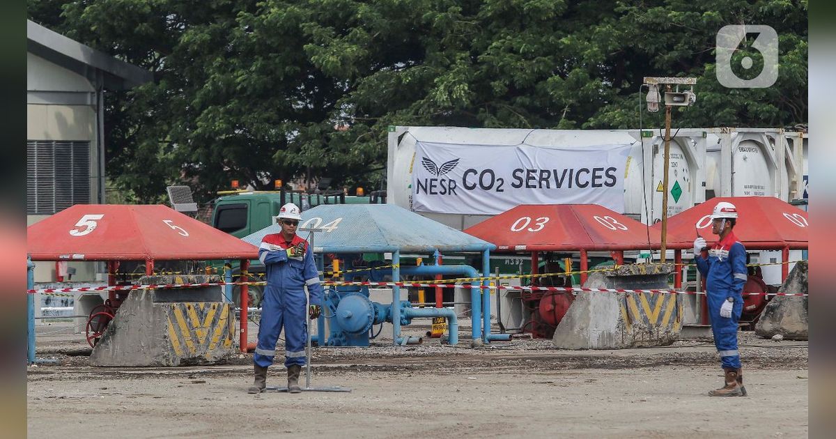 Carbon Capture Storage Berpeluang Jadi Bisnis Baru di Indonesia