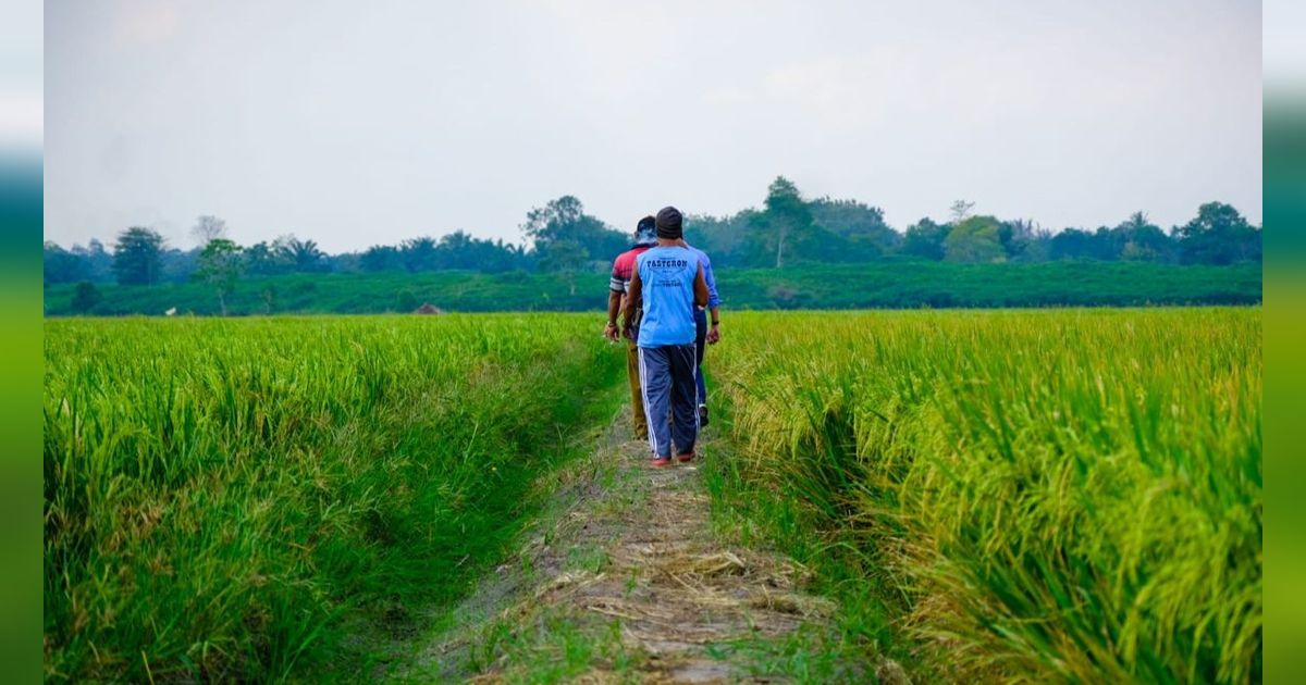 Kenalan dengan Gacong, Petani Dadakan yang hanya Ada di Banten