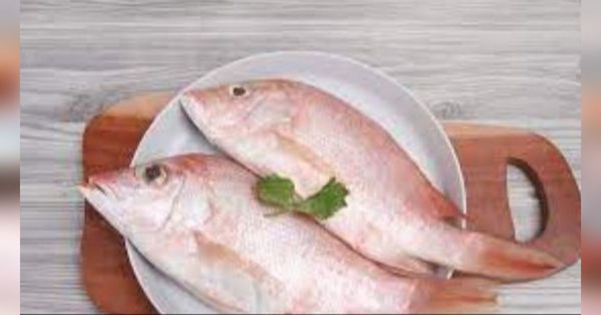 Rendah Kandungan Purin, 5 Jenis Ikan Ini Dipercaya Efektif Kendalikan Asam Urat