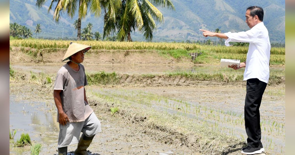 Diresmikan Jokowi, Proyek Sistem Irigasi Gumbasa Telan Dana Rp256 Miliar Bisa Mengairi Sawah 12 Desa