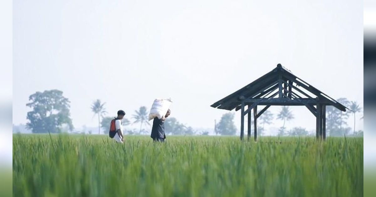 Pemda dan Petani Aceh Sambut Gembira serta Terima Kasih Atas Tambahan Alokasi Pupuk Subsidi
