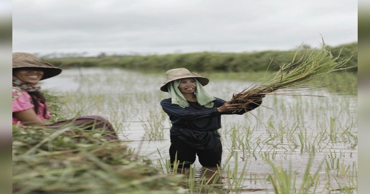 Terima Kasih Petani Jatim Sambut Tambahan Pupuk Subsidi Rp28 Triliun