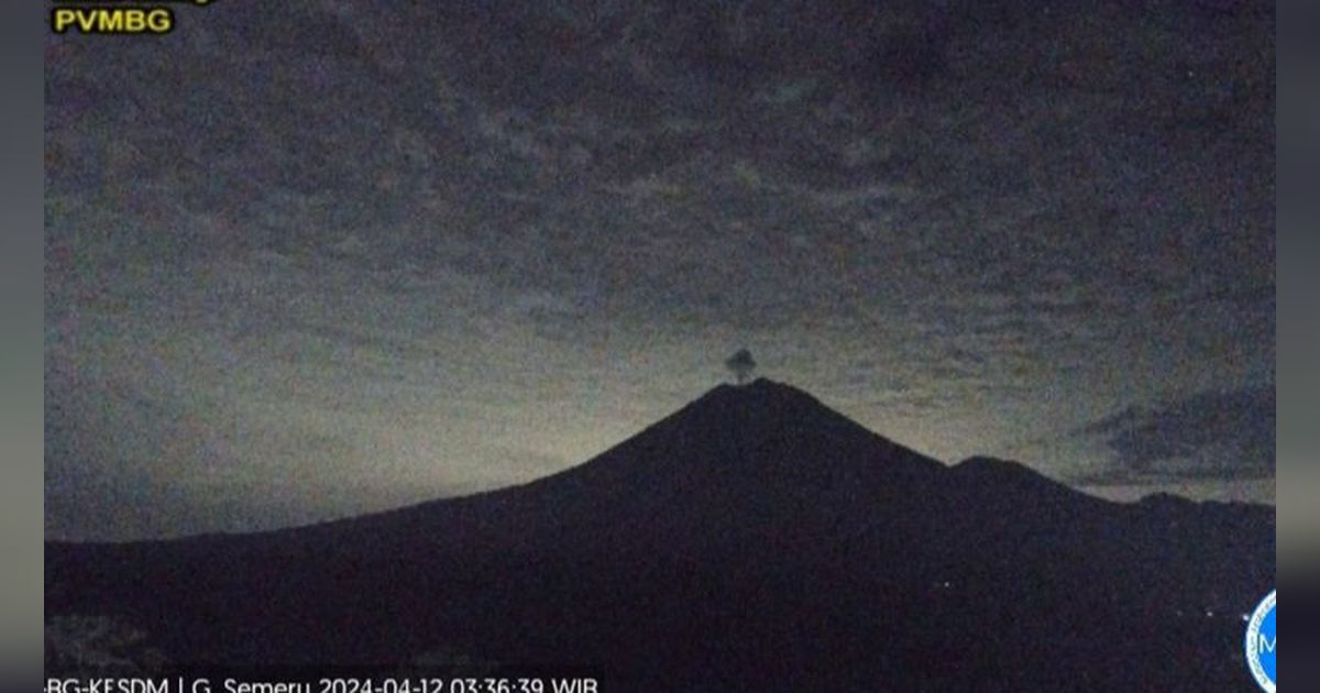 Gunung Semeru Kembali Erupsi, Tinggi Letusan Mencapai 700 meter