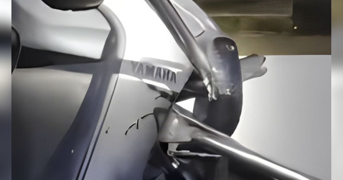 Detik-Detik Penangkapan Ular Kobra Sepanjang 1,5 Meter yang Masuk ke Motor Warga