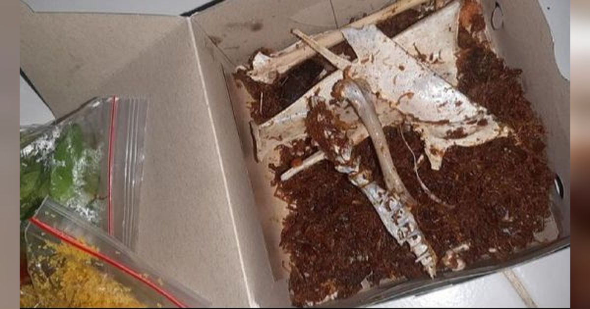 Apes Banget! Pesan Dada Bebek Remuk yang Datang Malah Fosil Tulang Belulang