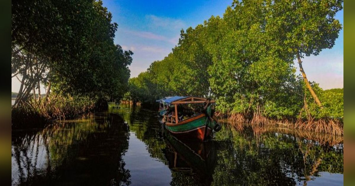 FOTO: Destinasi Wisata Mangrove di Sunge Jingkem Bisa Jadi Pilihan Mengisi Libur Lebaran, Keindahan Alamnya Bisa Bikin Mata Susah Berkedip