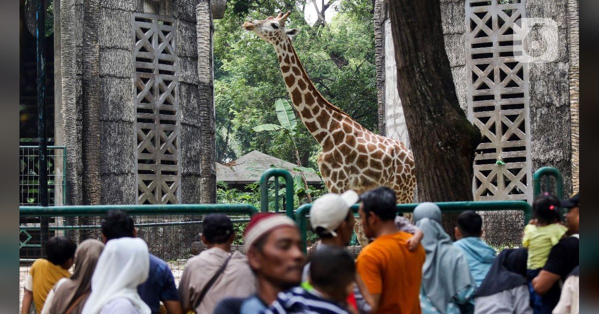 Hari Ini, Pengunjung Ragunan Membludak Capai 112 Ribu Saat Libur Lebaran