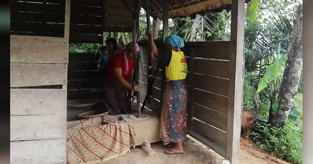 Melihat Suasana Kampung Adat Lebak Bitung Sukabumi yang Asri, Punya Tradisi Tumbuk Padi Setelah 6 Tahun Panen