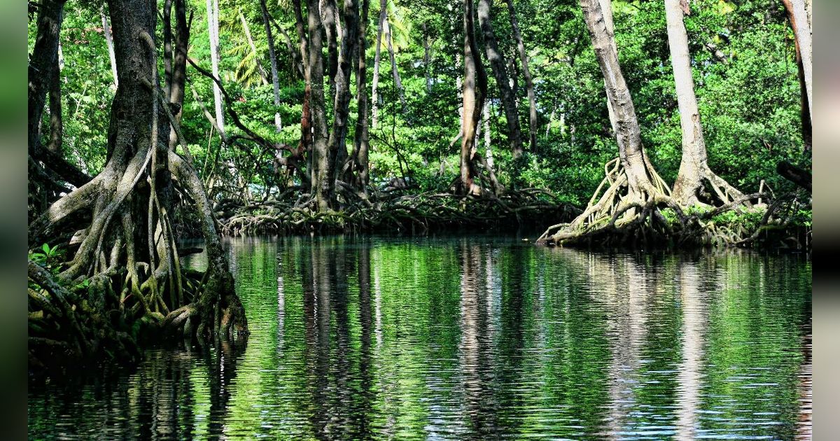 Kota Kuno 2.500 Tahun Ditemukan di Hutan Amazon, Lebih Besar dari Suku Maya