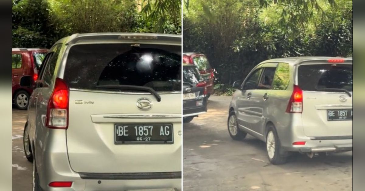 Viral Aksi Pengunjung Taman Safari Bebal Buka Kaca Mobil saat Lewati Kandang Singa, Bikin Was-was