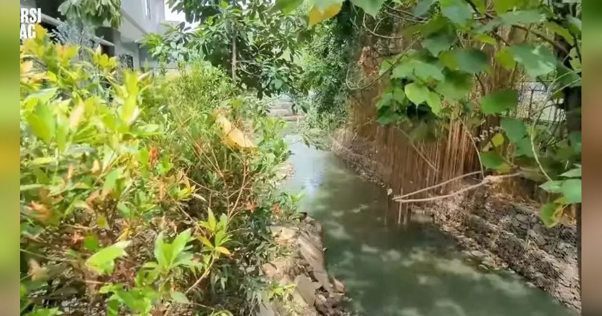 Tinggal di Rumah Rp100 Miliar, 8 Potret Taman dr Tompi Ada Sungai Mengalir Bak Surga