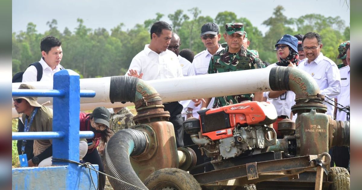 Tingkatkan IP Padi, Kementan Genjot Pompanisasi untuk Merauke