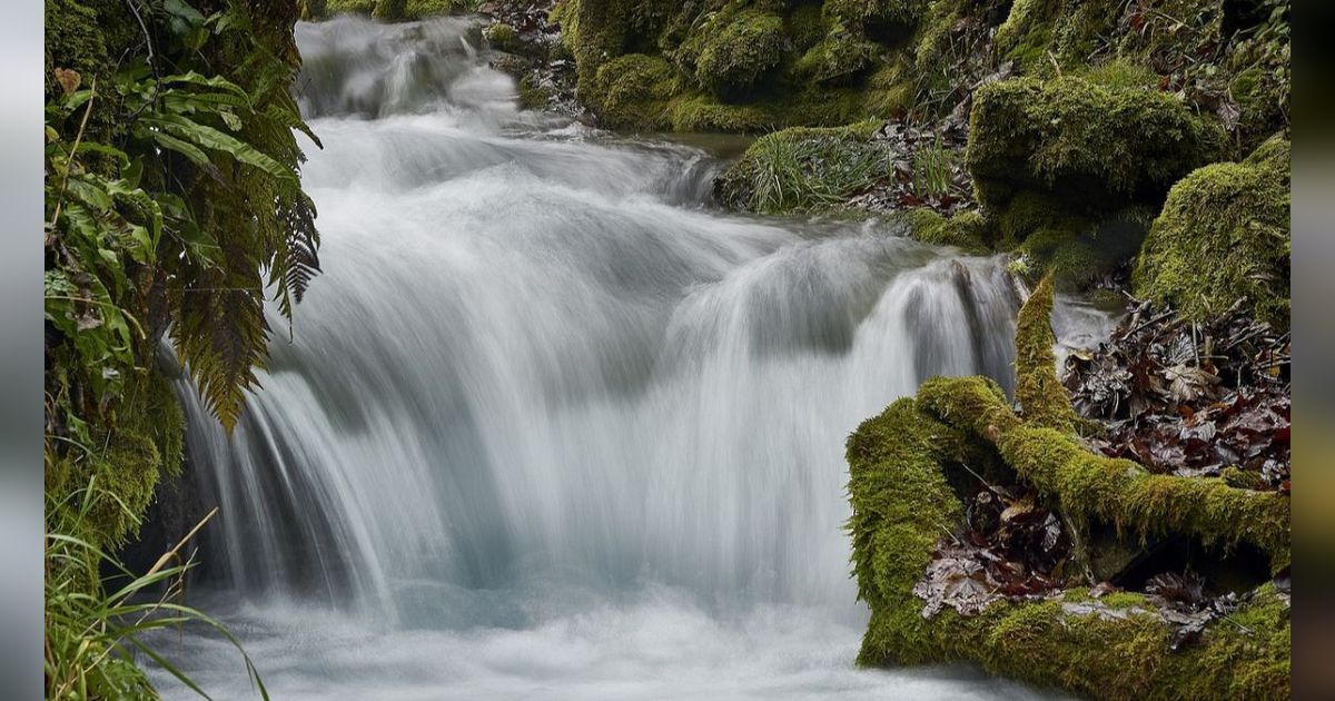 5 Wisata Sragen Populer, Cocok untuk Tujuan Liburan Keluarga