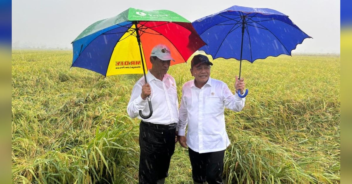 Wamenhan M Herindra Tinjau Panen Raya Food Estate di Papua Selatan