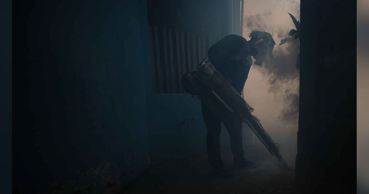 FOTO: Tekan Penyebaran DBD, Petugas Gencarkan Fogging untuk Basmi Nyamuk Aedes Aegypti