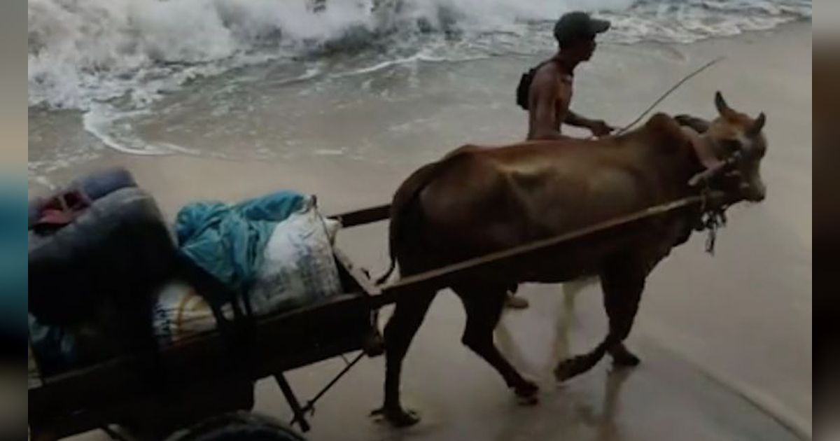 Jalan di Lampung Rusak Parah Warga Bertaruh Nyawa Lewat Pantai, Dana Desa Ramai Dipertanyakan