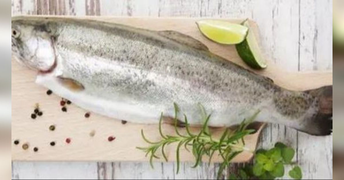 Makan Enak tapi Kolesterol Aman, 5 Jenis Ikan Ini Cocok Dikonsumsi Pengidap Kolesterol Tinggi