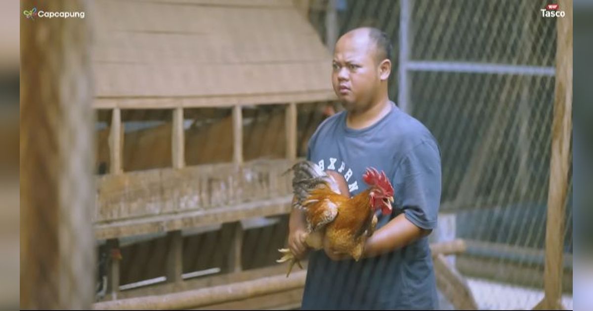 Resign di Dunia Pendidikan, Pria Ini Kini Sukses Berternak Ayam Kampung dan Buka Pelatihan