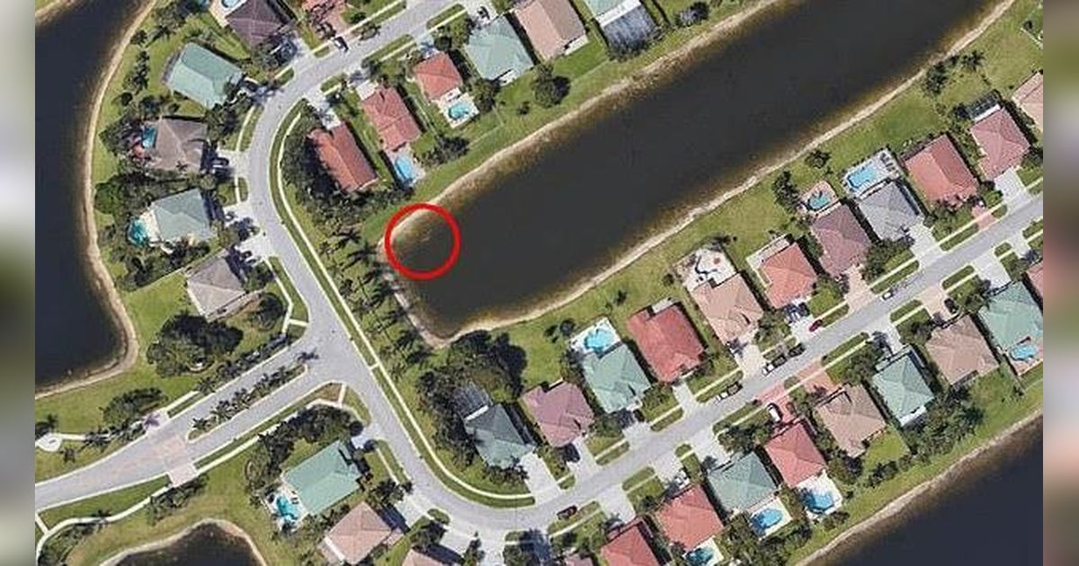Berkat Google Earth, Warga Tak Sengaja Ungkap Misteri Orang Hilang Selama 22 Tahun yang Sebenarnya Terlihat Sejak 2007