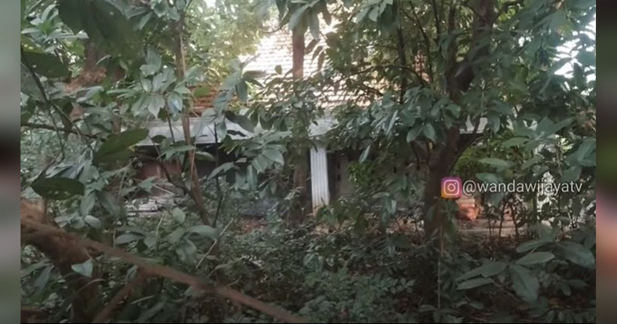 Penampakan Rumah Mewah Ibu Ani Anak Jenderal, Terbengkalai Bak Hutan tapi Masih Dihuni