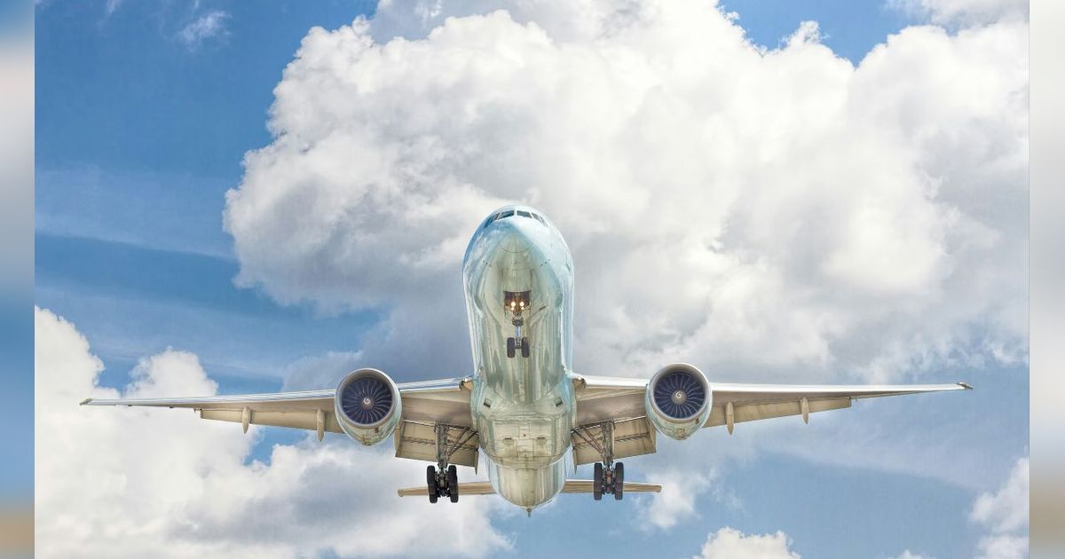 Rencana Pemerintah Pungut Iuran Tiket Pesawat Tuai Polemik, Begini Penjelasan Anak Buah Luhut