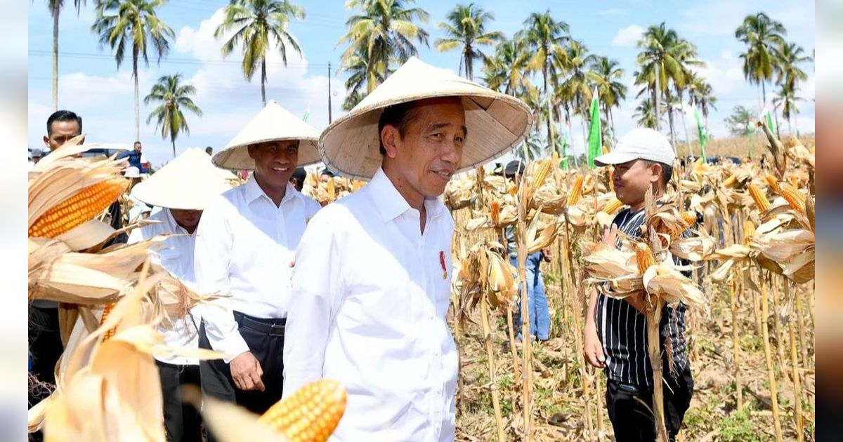 VIDEO: Jokowi Kunker Bareng Pengusaha dari NasDem saat MK Putuskan Menangkan Prabowo